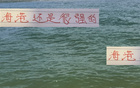 挑刺雖挑刺，海港預(yù)算有限仍居榜二，實力非凡。