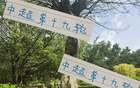 周末申花云南高原賽，阿蘇埃赤道南能否進第四球？