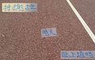 申花喜訊：朱辰杰現(xiàn)身訓(xùn)練，特謝拉缺席德比。
