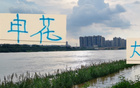 瓦西里離隊傷申花，攻勢減弱，防守不穩(wěn)。