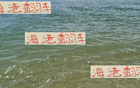 誰料海港穩(wěn)勢被天津隊拉下第三名，第22輪中超前四。