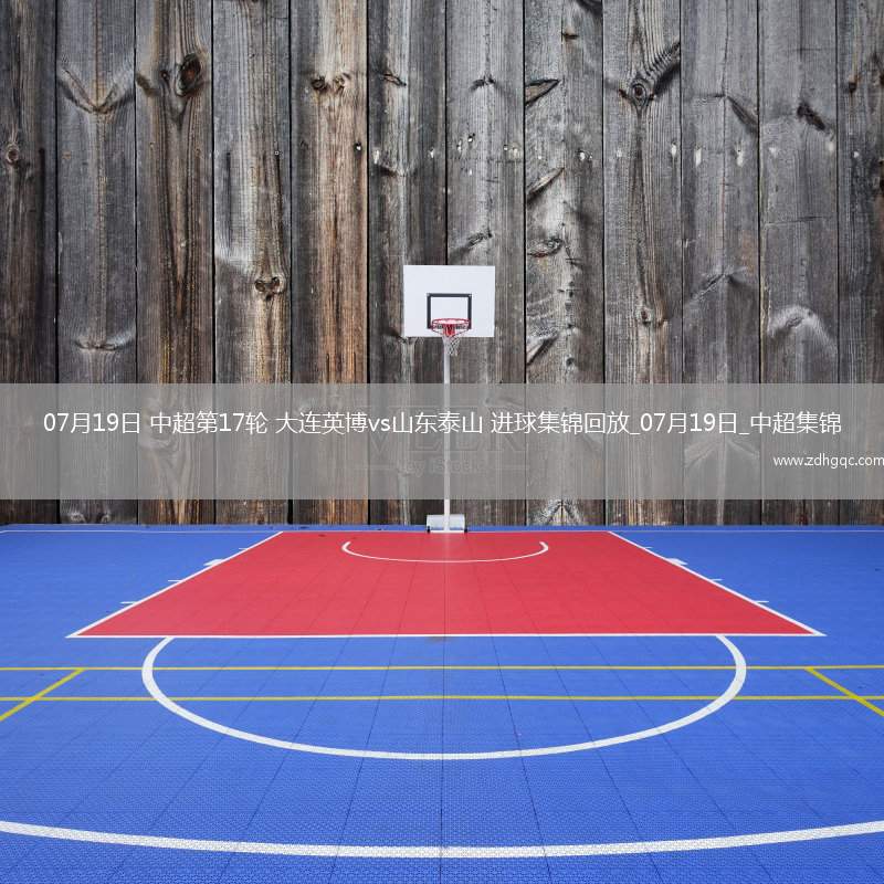 07月19日中超第17輪大連英博vs山東泰山進(jìn)球