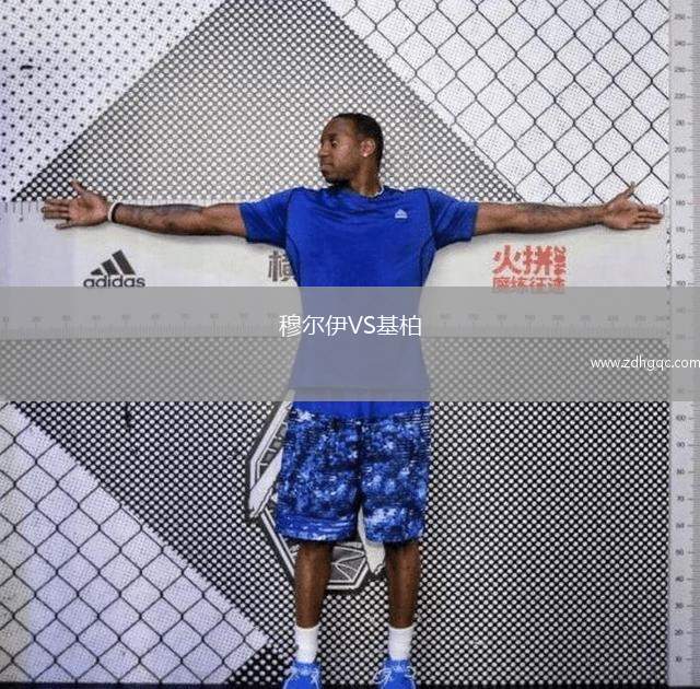 穆?tīng)栆罺S基柏
