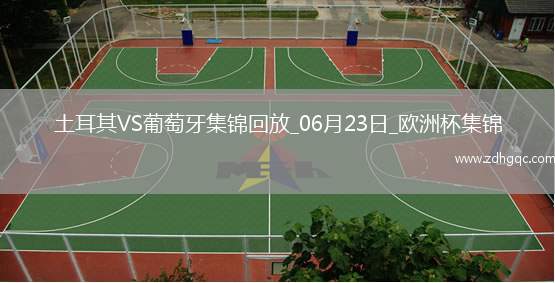 06月23日歐洲杯小組賽F組第2輪土耳其vs葡萄牙進球視頻