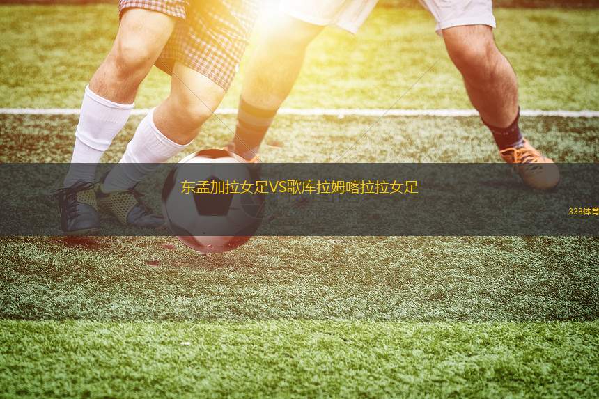 達米薩VS阿波美迪納摩