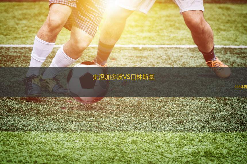 美因茨青年隊(duì)VS霍芬海姆青年隊(duì)
