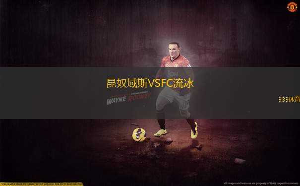 伍特默豪森VSSV赫梅林根