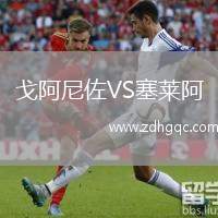 戈阿尼佐VS塞萊阿