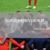 伯斯古古杜斯VS斯萊曼