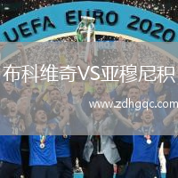 布科維奇VS亞穆尼積