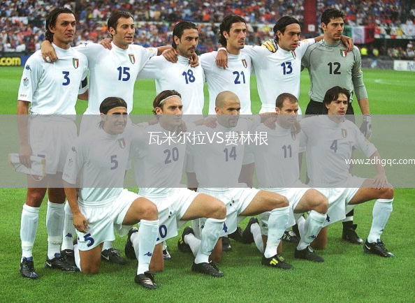 瓦米爾拉VS費林根