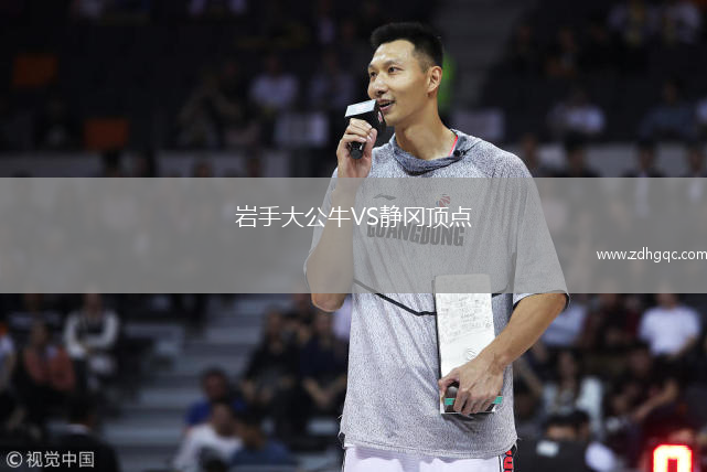 巖手大公牛VS靜岡頂點(diǎn)