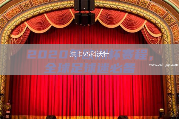 洪卡VS科沃特