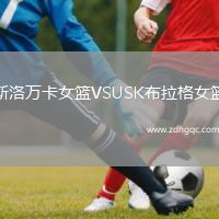 斯洛萬(wàn)卡女籃VSUSK布拉格女籃