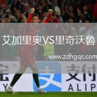 艾加里奧VS里奇沃魯