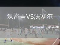 沃洛吉VS法塞爾