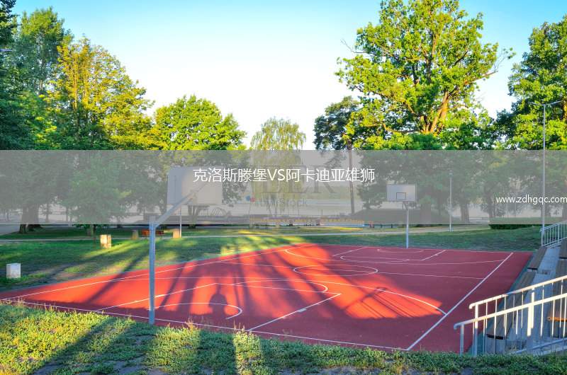 克洛斯滕堡VS阿卡迪亞雄獅