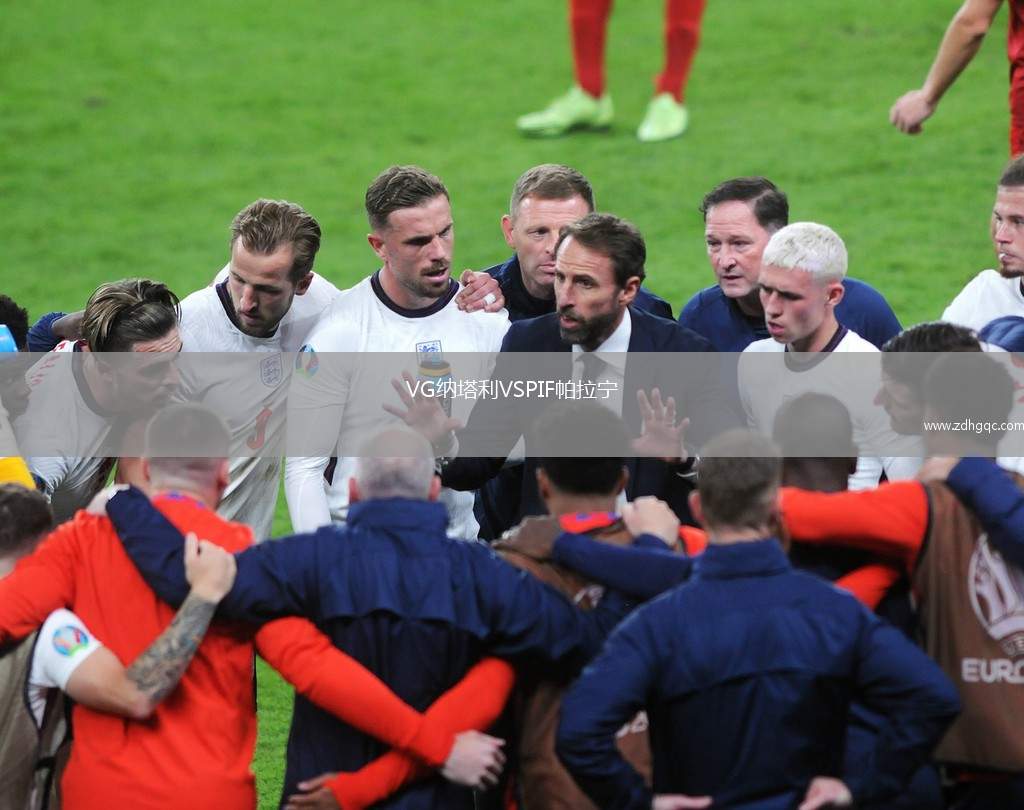 VG納塔利VSPIF帕拉寧