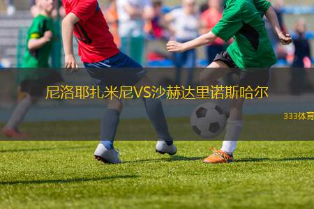 島灣聯(lián)VS內皮爾市流浪