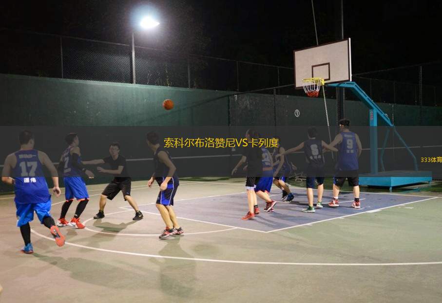 塞利斯貝瑞聯(lián)后備隊VS南阿德萊德后備隊