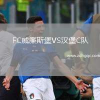 FC威廉斯堡VS漢堡C隊(duì)