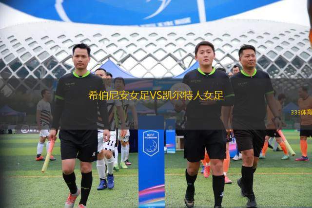 達姆施塔特VS漢堡
