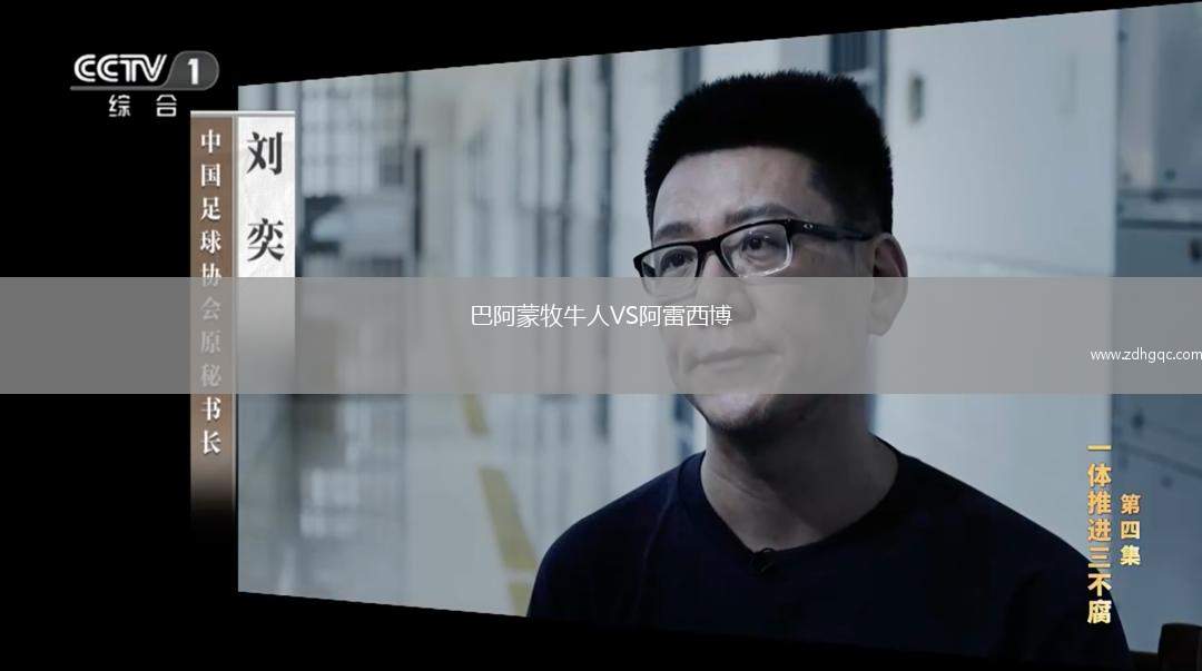 巴阿蒙牧牛人VS阿雷西博