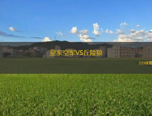 瑪瓦SP青年隊VS商業(yè)FC U20