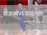 彼謝姆VS菲格內斯