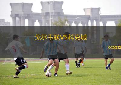 嘉沃伊萬基卡VS格拉菲卡