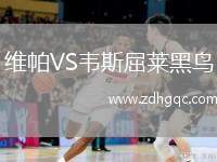維帕VS韋斯屈萊黑鳥