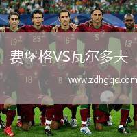 費堡格VS瓦爾多夫