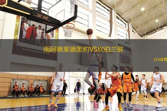 魏登條頓尼亞VSSPVG波茨1919