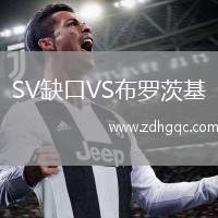 SV缺口VS布羅茨基