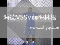 海德VSSV赫梅林根