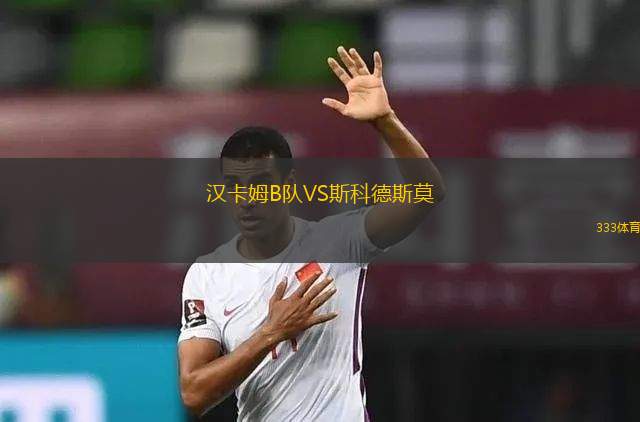圣克羅伊SC女足VS明尼蘇達(dá)荷蘭獅女足