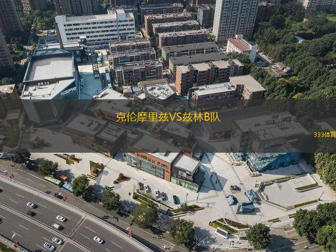 克拉斯諾達爾青年隊VS莫斯科迪納摩青年隊
