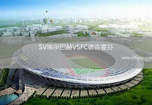 SV埃爾巴赫VSFC德森霍芬