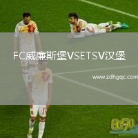 FC威廉斯堡VSETSV漢堡