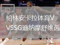 柏林安卡拉體育VSSG迪納摩舒維茵