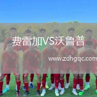 費(fèi)雷加VS沃魯普