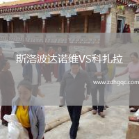斯洛波達(dá)諾維VS科扎拉