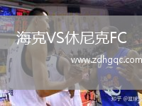 ?？薞S休尼克FC