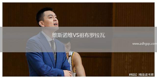 維斯諾維VS祖布羅拉瓦