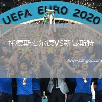 托德斯費爾德VS新曼斯特