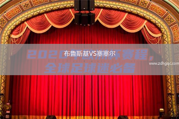 布魯斯基VS塞塞爾