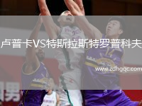 盧普卡VS特斯拉斯特羅普科夫